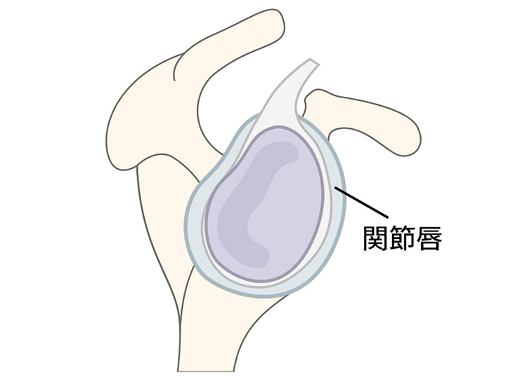 関節鏡手術