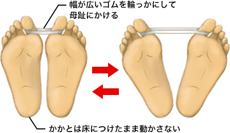 Hohmann（ホーマン）体操
