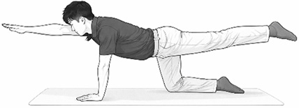 Core muscles アームレッグレイズ