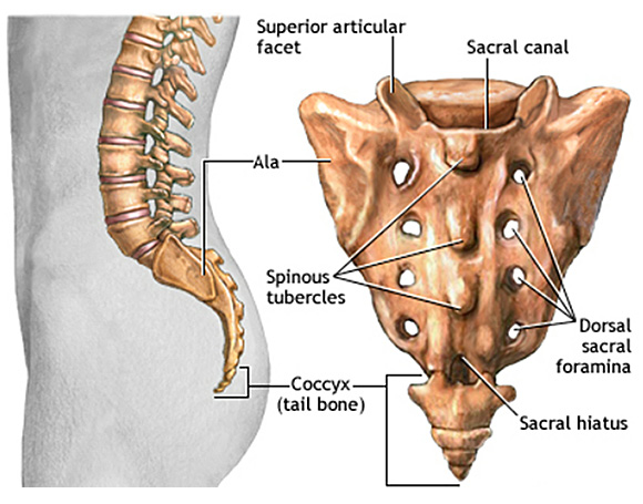硬膜外ブロック
