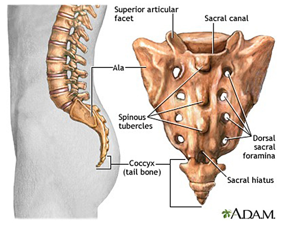 仙骨硬膜外ブロックとは
